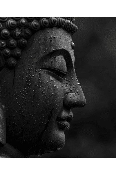 Buda4