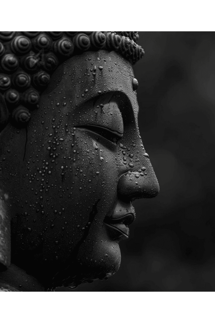 Buda4 Buda4